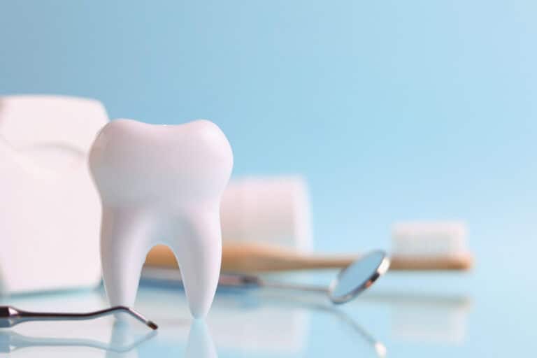 Tooth model with toothbrush, dental floss and tools demonstrating effective brushing tips for oral health