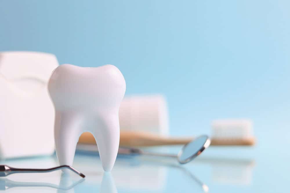 Tooth model with toothbrush, dental floss and tools demonstrating effective brushing tips for oral health
